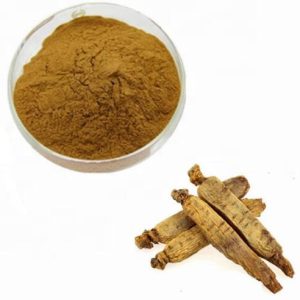 Ginseng rouge : extrait de racine-poudre -Panax Coréen (kg)